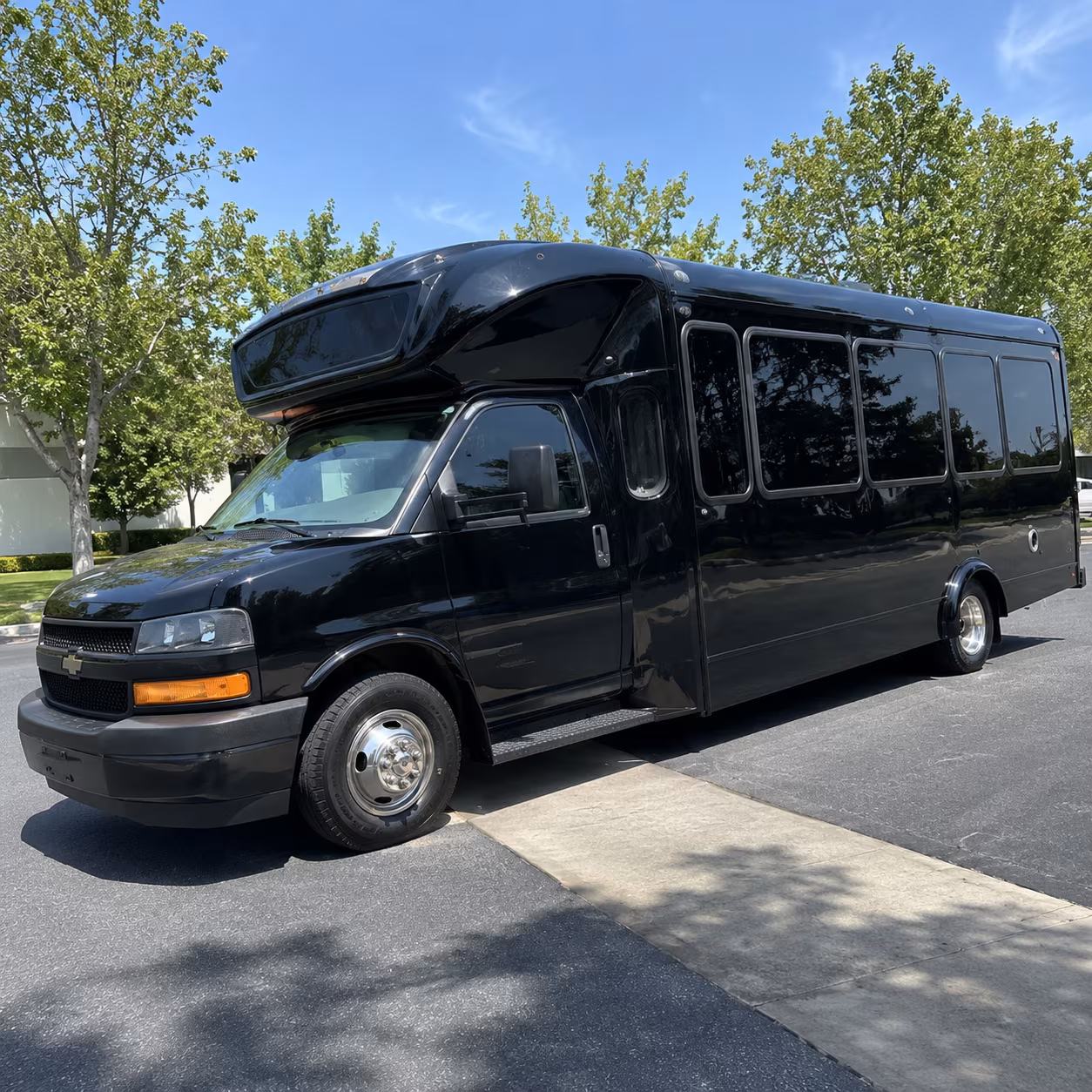 hamilton 15 passenger party bus