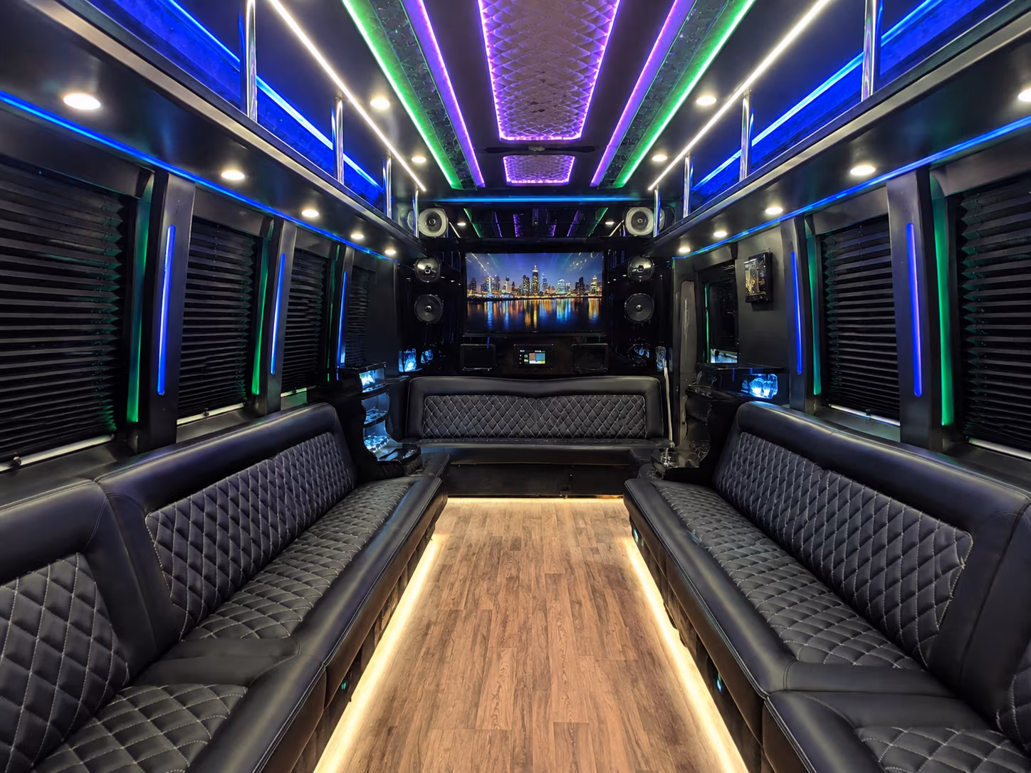 hamilton 25 passenger party bus interior