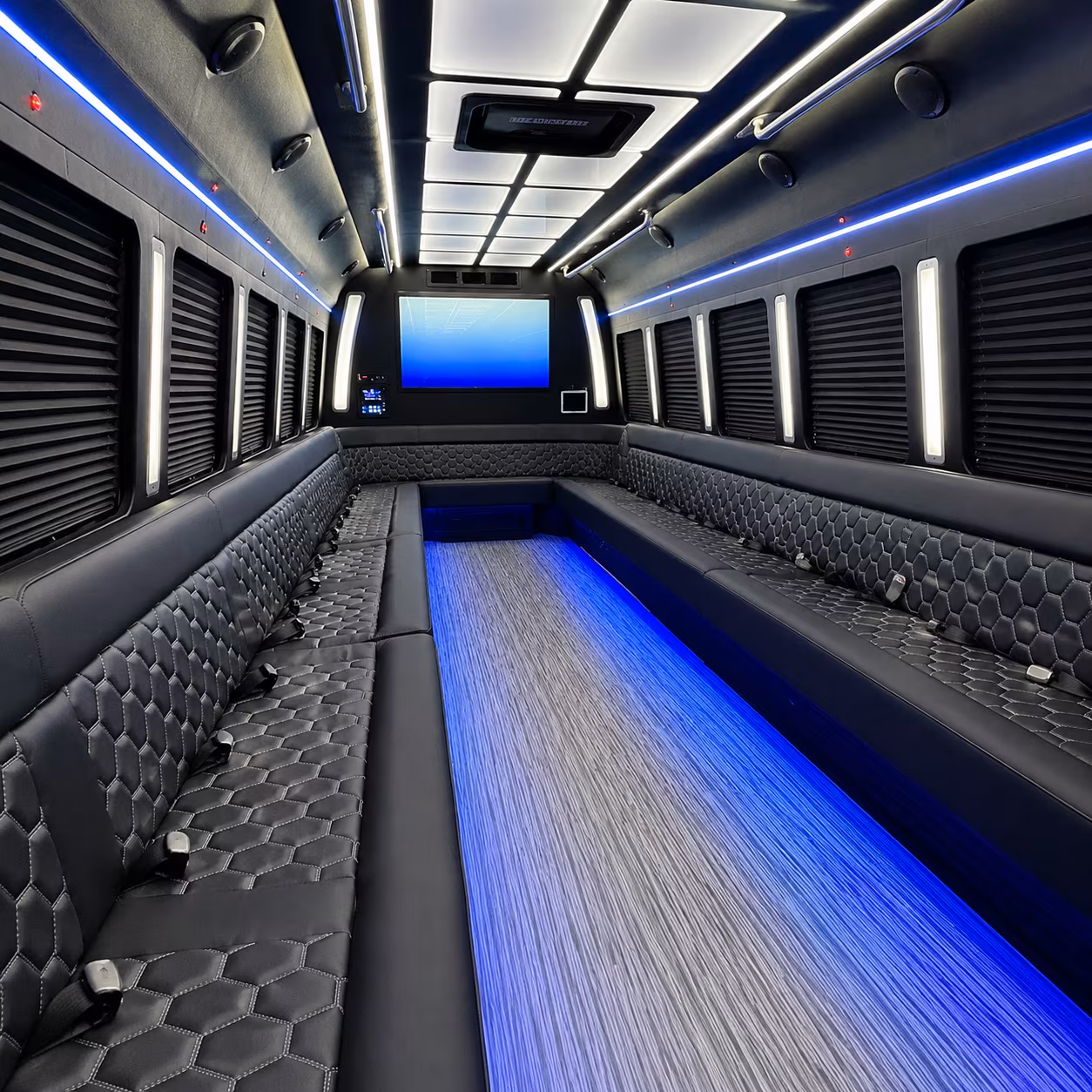 hamilton 50 passenger party bus inside